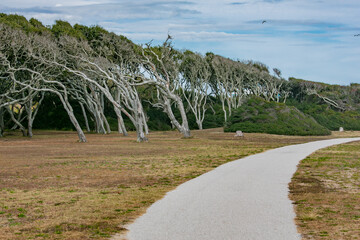 Looking to the Future