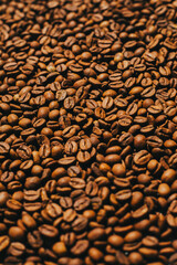 Fondo con textura de café arábica tostado gourmet. Concepto de alimentos y bebidas.