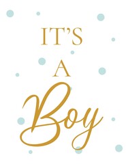 Boy or girl hand drawn modern lettering - Baby shower announcement banner, card - Gender reveal party - Vector illustration isolated