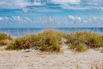 Reeds and Coastal Clouds