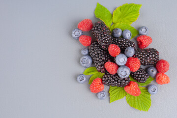 berries on a gray background in profile. High quality photo