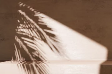 Fototapete Badezimmer Minimal product placement background with palm shadow on concrete wall. Luxury summer architecture interior aesthetic. Modern tropical mockup design.  © hitdelight