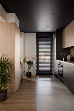 Modern kitchen with black ceiling