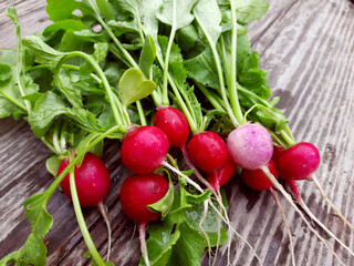 Fresh radish on a wooden table, harvest from the garden.