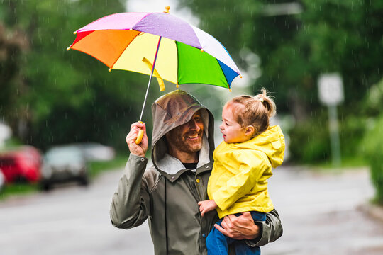 Funny Umbrella Images – Browse 37,766 Stock Photos, Vectors, and Video | Adobe Stock Funny Umbrella Images – Browse 37,766 Stock Photos, Vectors, and Video | Adobe Stock