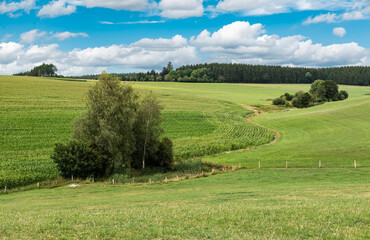 Panoramic view over the agriculture fields and meadows of the East-Belgian countryside near Burg-Reuland