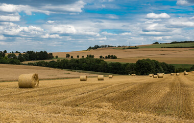 Obraz premium View over the German countryside in Rhineland-Palatinate with hay rolls and agriculture fields