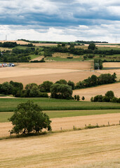 Fototapeta na wymiar View over the agriculture fields and meadows at the German Countryside