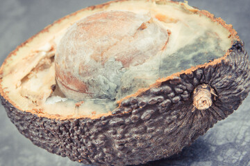 Old moldy avocado on dark board. Unhealthy and disgusting fruit