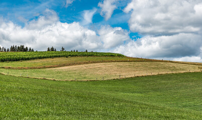 Panoramic view over the agriculture fields and meadows of the East-Belgian countryside near Burg-Reuland