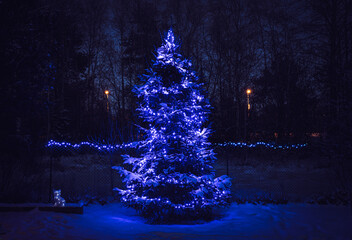 Blue color star effect Christmas decoration lights on spruce tree glowing at night. Snow covering ground and small acrylic fox shape under the tree outdoors in winter.