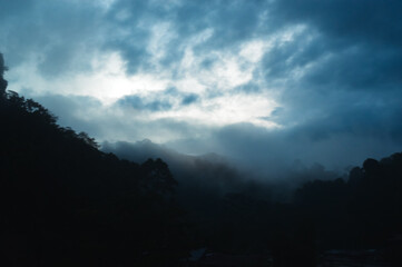 Dark fog descending on a tropical forest as a thunderstorm rolls in