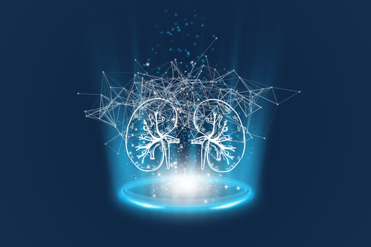 Kidney hologram, verifies the test results on the virtual interface, and analyzes the data. Kidney disease, kidney stones, cutting-edge technologies, and future medicine