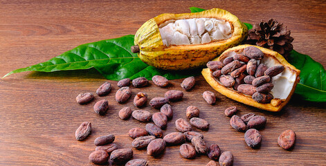 Cut in half fresh cacao fruit or cocoa pods and brown dry cocoa beans on wooden background.