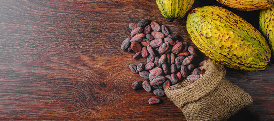 Top view fresh cacao fruit or cocoa pods and dry cocoa beans in a brown sack on wooden background.
