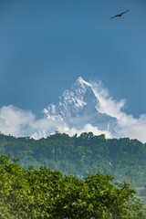 View of Machhapuchhare also kno Fishtail mountain from Pokhara, Nepal - obrazy, fototapety, plakaty