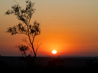 Orange Safari Sunrise in South Africa