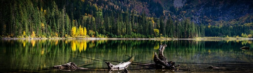 Panoramic view of the reflection of pine trees on the water surface. Montana, Glacier National Park.