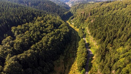 Aerial view of the Thuringian Forest with thick trees in Germany © Sven Förter/Wirestock Creators