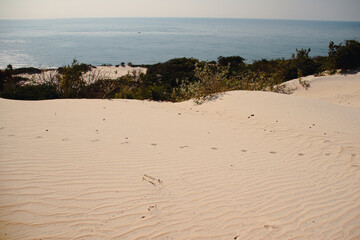 Fototapeta na wymiar Beautiful sand dunes and vibrant summer at Phan thiet, Vietnam