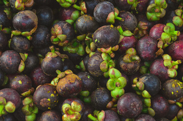 Close up of a bunch of fresh mangosteen fruits 
