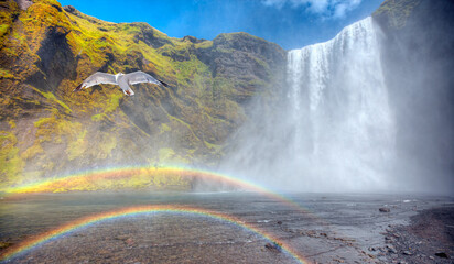 View of famous Skogafoss waterfall with double rainbow  - Iceland