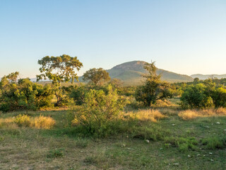 South African Landscape