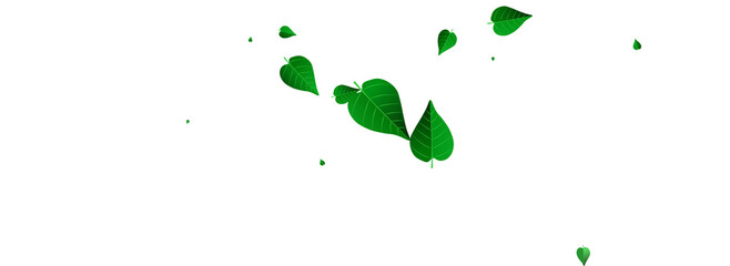 Forest Leaves Tea Vector Panoramic White