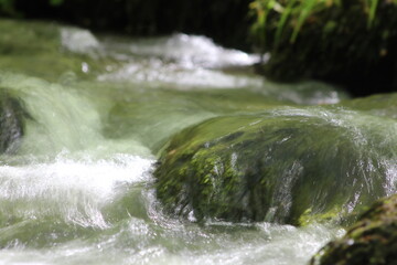 cascade, rivière et bois