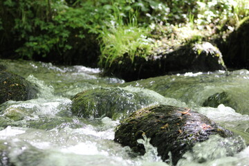 cascade, rivière et bois