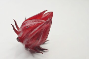 A freshly harvested dark red calyx of a Roselle plant, on white background
