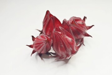A bunch of calyces from a Roselle plant, freshly harvested, on white background
