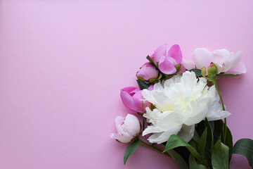 Pink peony flowers on a pink background. Top view. Concept Mother's Day, Family Day, Valentine's Day.