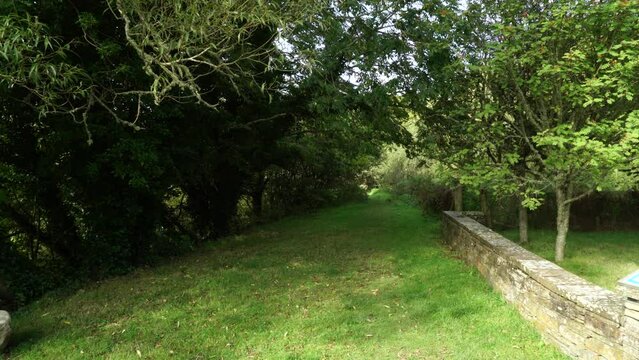 Path through lush green trees in Dunbeath Strath, Scottish Highlands