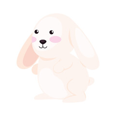 cute rabbit animal