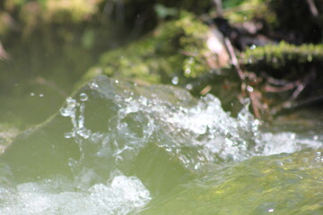 cascade, rivière et bois