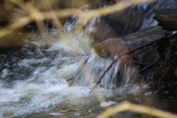 cascade, rivière et bois