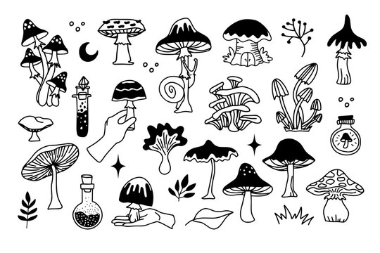 Mystical mushrooms isolated outline clipart set, magic line celestial mushroom, moon stars, witchy esoteric objects, floral mystical
