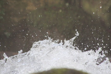 cascade, rivière et bois