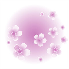 Purple Violet flowers isolated on violet gradient circle background. Apple-tree flowers. Cherry blossom. Vector