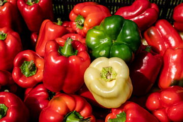 Piękne świeże papryki, Papryki przygotowane do sprzedaży, papryka, Beautiful fresh peppers, Peppers prepared for sale, peppers, © Follow the Sun