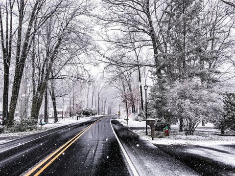 Empty road passing through trees covered in snow in Dover, Delaware, United States