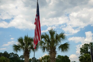 Closeup shot of the American flag with a blue sky nd palm trees on the background