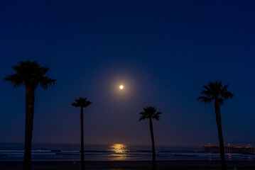 Night Sky over sandy beach - Pismo California 