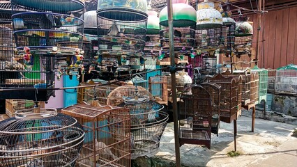 Closeup shot of birds in cages hanging next to a wooden house