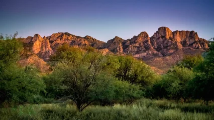 Plexiglas foto achterwand Scenery with Catalina Foot Hills in Tucson, Arizona, USA © Ron Biedenbach/Wirestock Creators