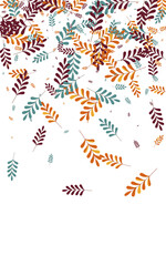 Golden Foliage Background White Vector. Herb Tree Texture. Green Plant. Red Leaf November. Dry Frame.