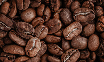 Fresh Roasted Coffee Beans Background