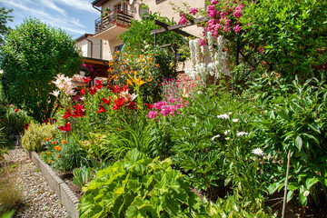 Fototapeta na wymiar Beatiful backyard garden with flowers in full bloom in sunny day in summer. 