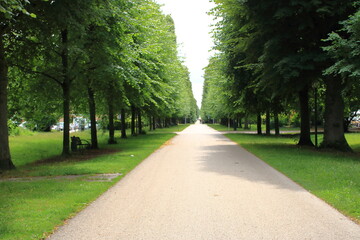 Allee in der  Stadt Ludwigsburg führt vom blühenden Barock weg